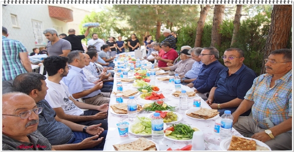 Mer. Fatma ALIKANOLU'nun Senesi